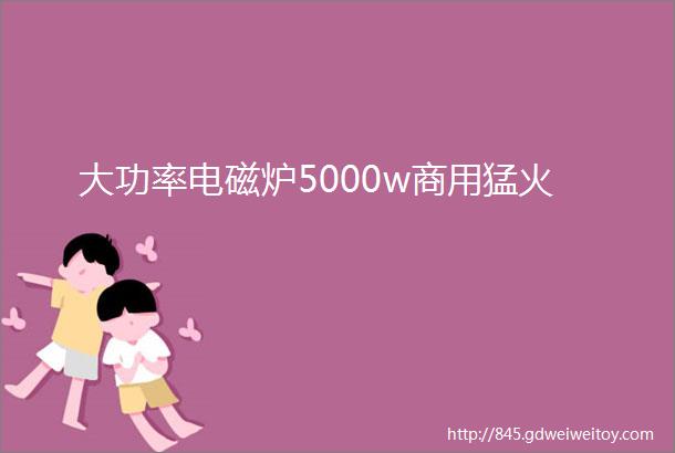 大功率电磁炉5000w商用猛火